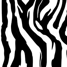 Use light, smooth strokes to begin. How To Draw Zebra Stripes Step By Step Drawing Guide By Dawn Dragoart Com