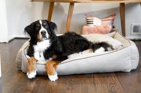 The original calming dog bed. 3 Best Calming Dog Beds Uk Recommended Anti Anxiety Dog Beds
