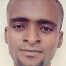 Which one is has the best accurate precision between excel and XLSTAT?