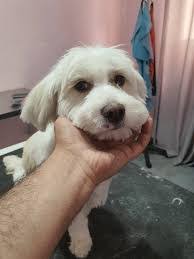 Allison Breedlove's Instagram, Twitter & Facebook