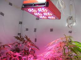 What can you do with an led light panel? Tips For Choosing The Best Led Grow Lights For Your Indoor Garden