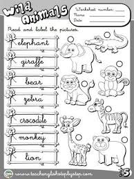 Wild Animals Worksheet 2 B W Version Learn English English Lessons Teaching English