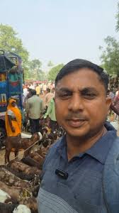 Safdarganj Bakra mandi 24/05/26, #viralreels #reelsfb #reels