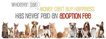 We are a no kill non profit animal shelter. Adopt A Pet Inc Mt Prospect Il Home Facebook