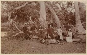 Tiger hunt, 1902 | Online Collection ...