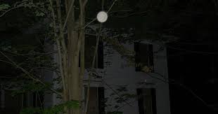 Picture 159 Attic Playroom Attic Renovation Attic Doors