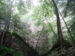 hiking at natural bridge state resort park 50 miles east of lexington ky natural bridge red river gorge park pinterest