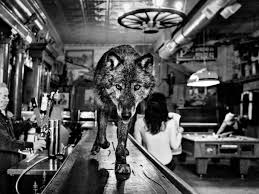 Maybe you would like to learn more about one of these? David Yarrow S Best Photograph A Wolf On The Prowl In A Wild West Saloon Photography The Guardian