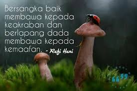 Rumput Yang Boleh Dimakan Meme