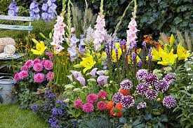 Summer flowering bulbs when to plant. Bulbs To Plant In Spring Flower Bulbs For Summer Blooms Flower Bulbs Perennials At Wholesale Prices