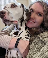 About Us — Get a Calm Dog