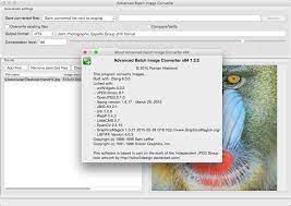 Jpeg is probably the best known of all image file formats, and it's what many cameras use as the default output. 6 Free Webp Converters Offline Bulk Jpg To Webp Format