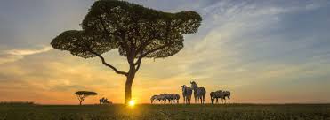 There is a coastline on the indian ocean. African Safari Kenya And Tanzania Collette