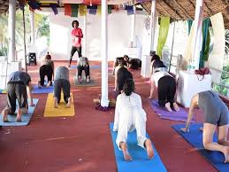 300 hour yoga teacher course