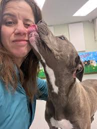 Adopted We rescued this sweet girl named Ivy from The euthanasia list due  to a broken leg. This girl has been running loose