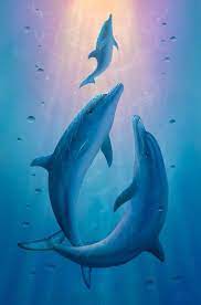 Cute Dolphin Wallpapers 542132 Delfine Bilder Unterwasser Tiere Wale Und Delfine