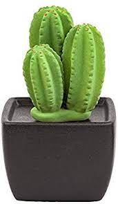 Each aromatherapy bracelet kit includes a colorful bracelet and 2 wool diffuser pads. Amazon Com Easy Company Difusers For Essential Oils Ceramic Aromatherapy Essential Oil Fragrance Diffuser Non Electric Cactus Office Desk Decor Black Vase