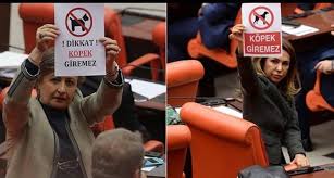 Muhammed Ikbal On Twitter Eceli Gelen Kopek Cami Duvarina Isermis Bu Soz Tam Da Chp Yi Anlatiyor Olenekadar Yadevletyaihanet Vandalchp