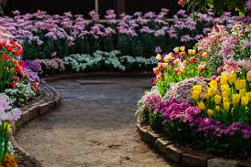 17 reasons to use epsom salt in the garden use epsom salt in the garden against pests. Transform Your Yard Into The Garden Of Your Dreams The Herb Cottage