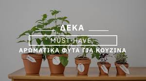 Ονομάζεται δημήτρης βεργος και είναι γνωστός στο αναρχικό κίνημα. 10 Top Arwmatika Fyta Gia To Spiti Soy Youtube