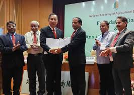 Green Spaces in the Concrete Jungle Spaces in theJungle