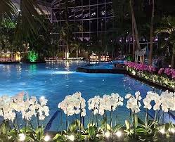 In der therme sinsheim fühlt ihr euch in eine andere welt versetzt, in der türkisfarbene lagunen, meeresrauschen und angenehme temperaturen um die 32°c das sagen. Photo1 Jpg Picture Of Thermen Badewelt Sinsheim Tripadvisor