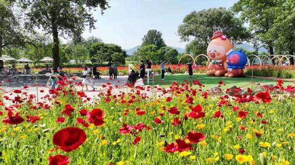 Colorful Garden 자라섬 꽃 페스타 照片 2