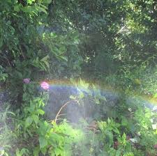 Pin By Nixielin On Our Beautiful World Nature Aesthetic Nature Pictures