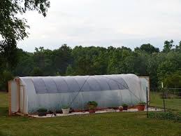 To view the plans for the new 1 inch arched greenhouse please scroll down. 27 Diy Greenhouses For Every Size Budget Skill Level