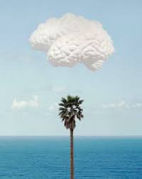 20 Of People Are Guided By Their Gut And 80 By Their Head What Are You John Baldessari Art World Conceptual Art