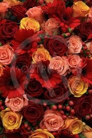 Here are some examples of artificial rose wedding bouquets. Mixed Rose Wedding Flowers By Porto Sabbia Mostphotos