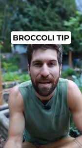 Andrew Wilbur (amwilbur3)