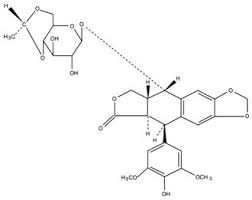 Image result for Etoposide