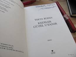 Kediler Guzel Uyanir Yekta Kopan Kunegond Un Penceresinden