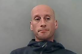 Drugs courier jailed after £42,000 worth of cocaine found in van