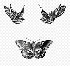 Harry styles, former one direction star, current star star, has over 50 tattoos. Harry Styles Butterfly Tattoo Transparent U0026 Png Clipart Free Harry Styles Butterfly Tattoo Free Transparent Png Images Pngaaa Com