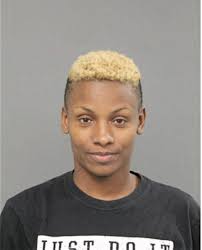 ᐅ Illinois Criminal Records 2009-2025