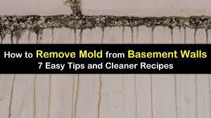 Of course, removing mold without but, even if you can't win completely the fight with black basement mold, at least you can reduce its. 7 Quick Ways To Remove Mold From Basement Walls