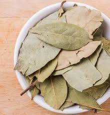 Die Heilende Wirkung Von Lorbeer Als Heilpflanze Krauter Fur Die Gesundheit Heilpflanzen Gesundheit