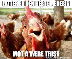 He usually gets this way after eating a vegetal if something angers him. Posetivitet S Hjornet Beitrage Facebook