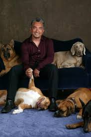 We would like to show you a description here but the site won't allow us. Cesar Millan Peliplat