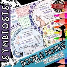Symbiosis Interactions Among Living Things Doodle Notes Doodle Notes Life Science Middle School Science Teaching Resources