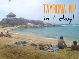There are a few options when it comes to accommodation in tayrona national park. In Colombia How To Visit Tayrona National Park In One Day Backpack Me