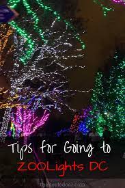 Zoolights Washington Dc Washington Dc United States Travel Bucket Lists Traveling By Yourself