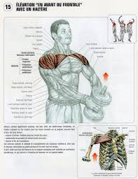 03 Elevation En Avant Ou Frontale Avec Un Haltere Bicep And Tricep Workout Body Training Weight Training Workouts