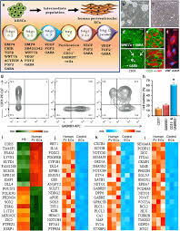 Undergraduates & graduates faculty, researchers, & staff alumni, industry, & community what… read more Human Forebrain Endothelial Cell Therapy For Psychiatric Disorders Molecular Psychiatry