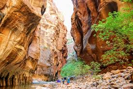 There are 39 zion guide for sale on etsy, and they cost $14.40 on average. Yes You Can Hike The Narrows In Zion With Kids Everything You Need To Know Simply Awesome Trips