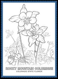 Learn fun facts, history, and the meaning behind colorado's state flower with our informative article about the beautiful white & lavender columbine. Colorado State Flower Rocky Mountain Columbine