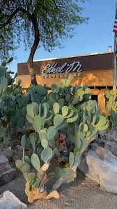 See who's going to ethel m chocolates botanical cactus garden lighting 2021 in henderson, nv! 9lmjnyfgmnxjpm