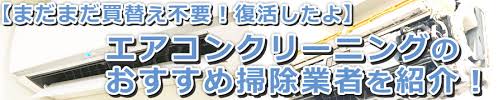 実録 掃除の結果 エアコンクリーニングおすすめ掃除業者